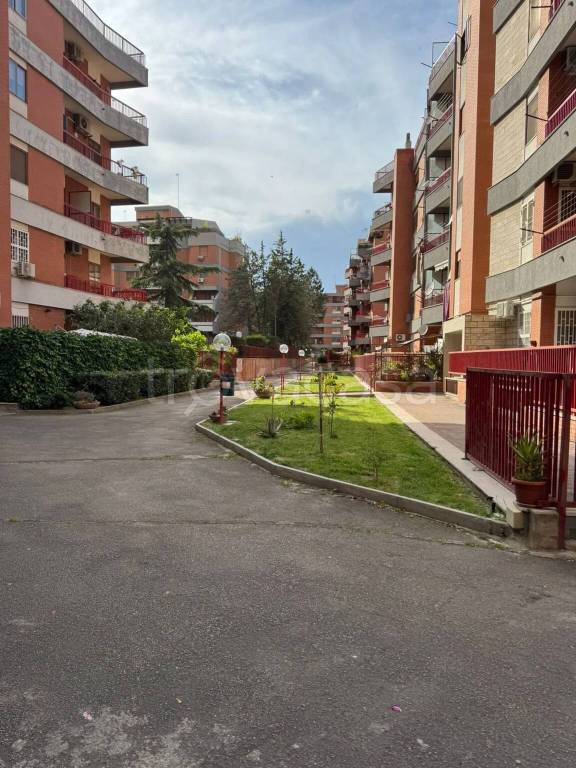 appartamento in affitto a Lucera