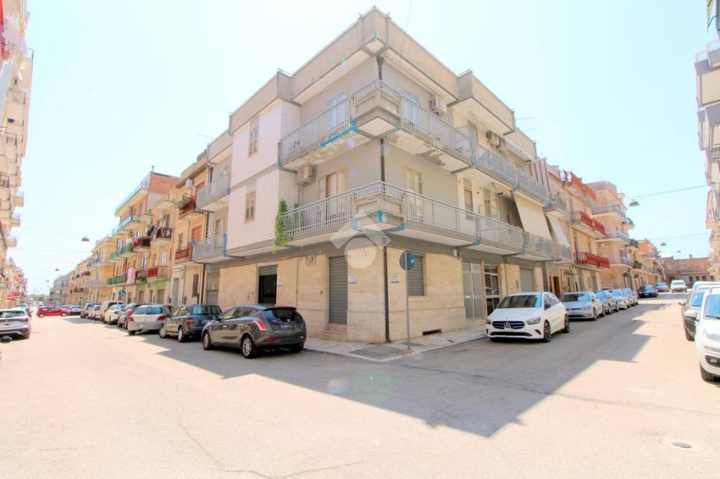 negozio in affitto a Lucera