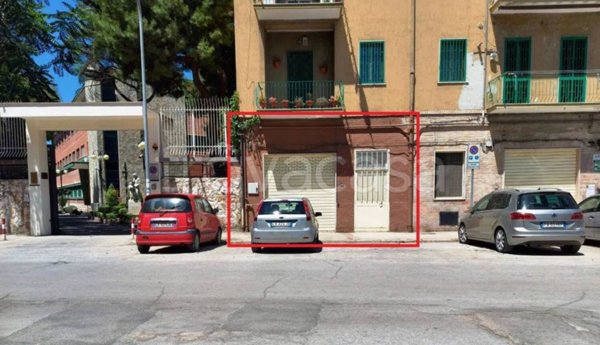 negozio in affitto a Lucera