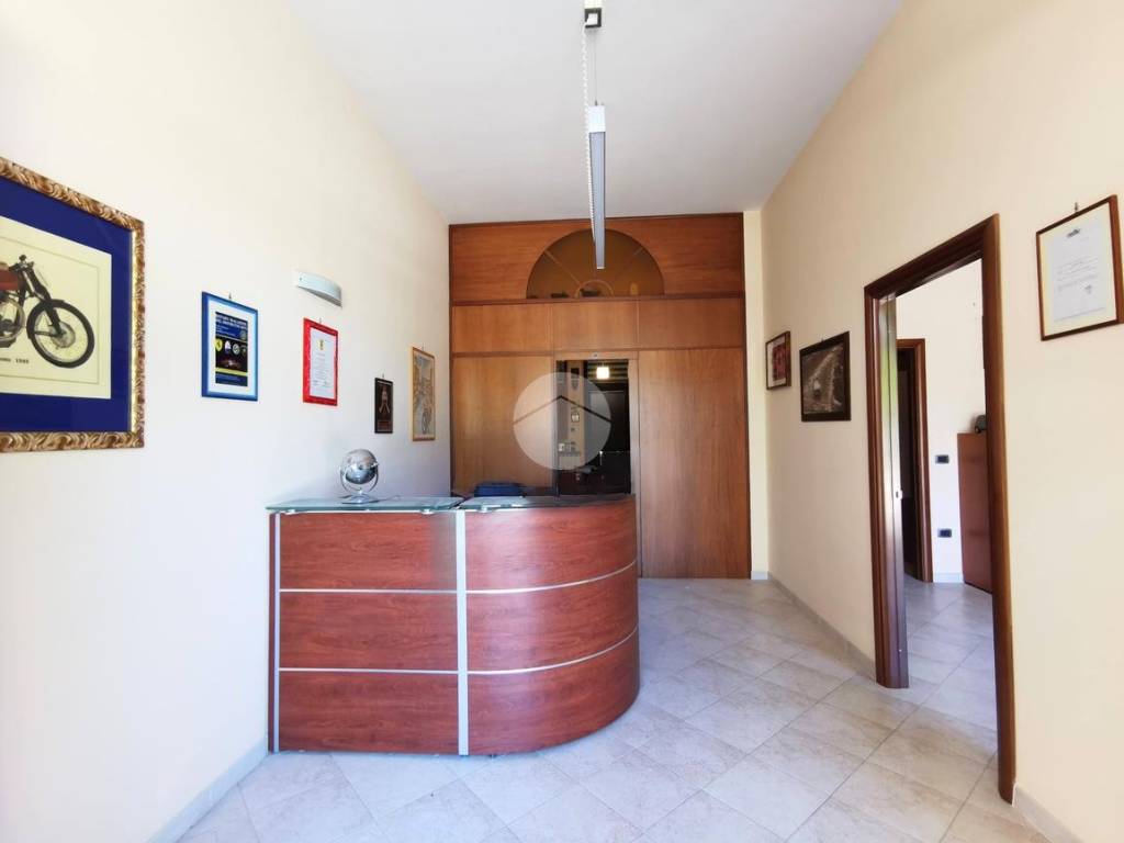 negozio in affitto a Lucera