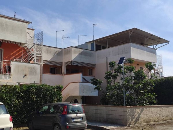 appartamento in affitto a Manfredonia in zona Ippocampo