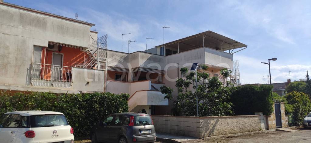 appartamento in affitto a Manfredonia in zona Ippocampo