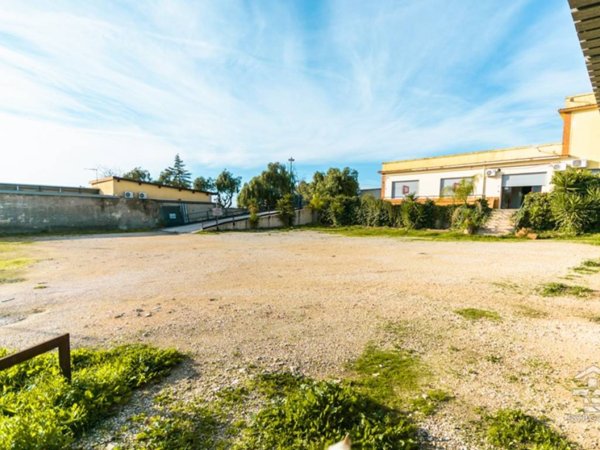 negozio in affitto a Manfredonia