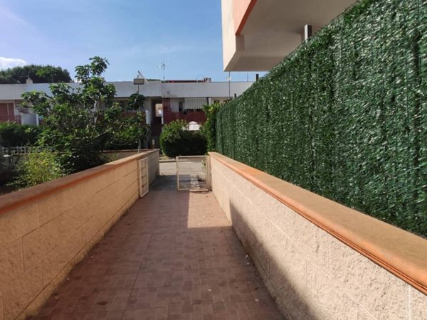 appartamento in affitto a Manfredonia in zona Ippocampo