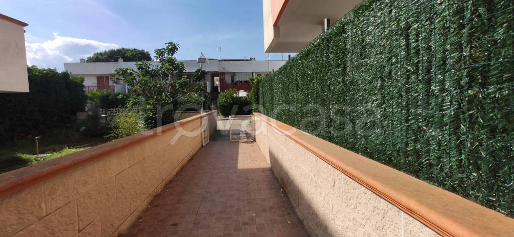 appartamento in affitto a Manfredonia in zona Ippocampo