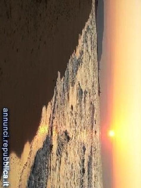 appartamento in affitto a Rodi Garganico in zona Lido del Sole