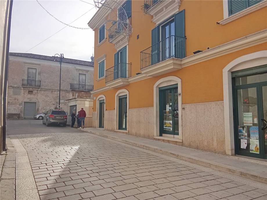 negozio in affitto a San Nicandro Garganico