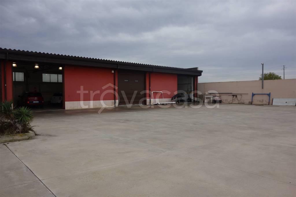 appartamento in affitto a San Severo