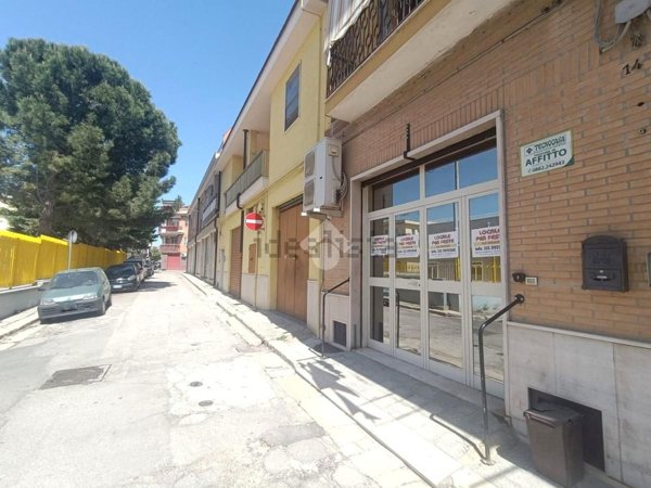 appartamento in affitto a San Severo
