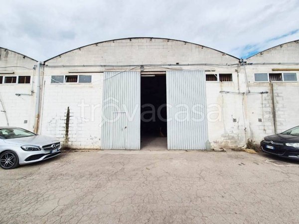 locale commerciale in affitto a San Severo