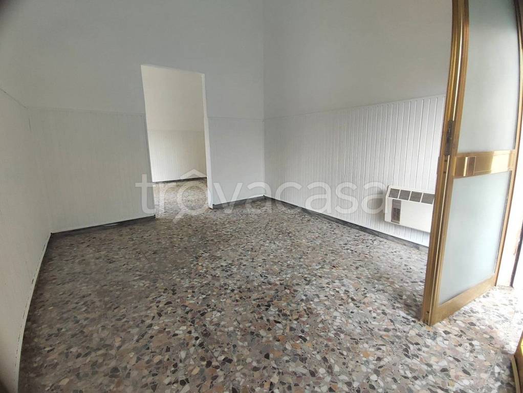 negozio in affitto a San Severo