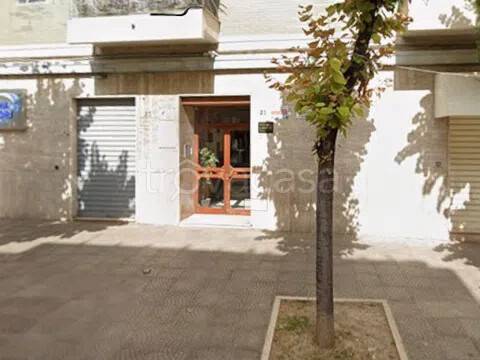 appartamento in affitto a San Severo