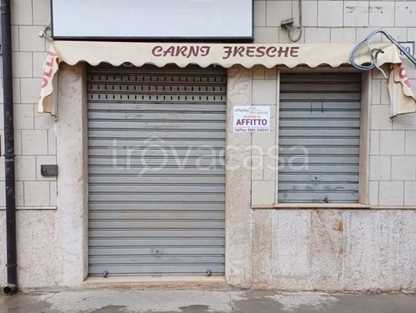 negozio in affitto a San Severo