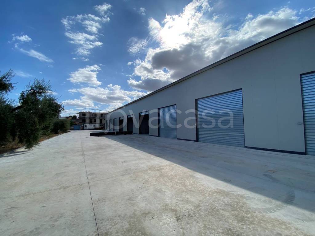 locale commerciale in affitto a San Severo