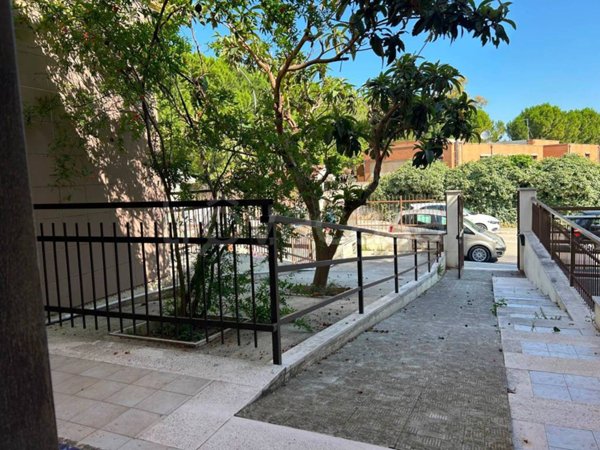 appartamento in affitto a Torremaggiore