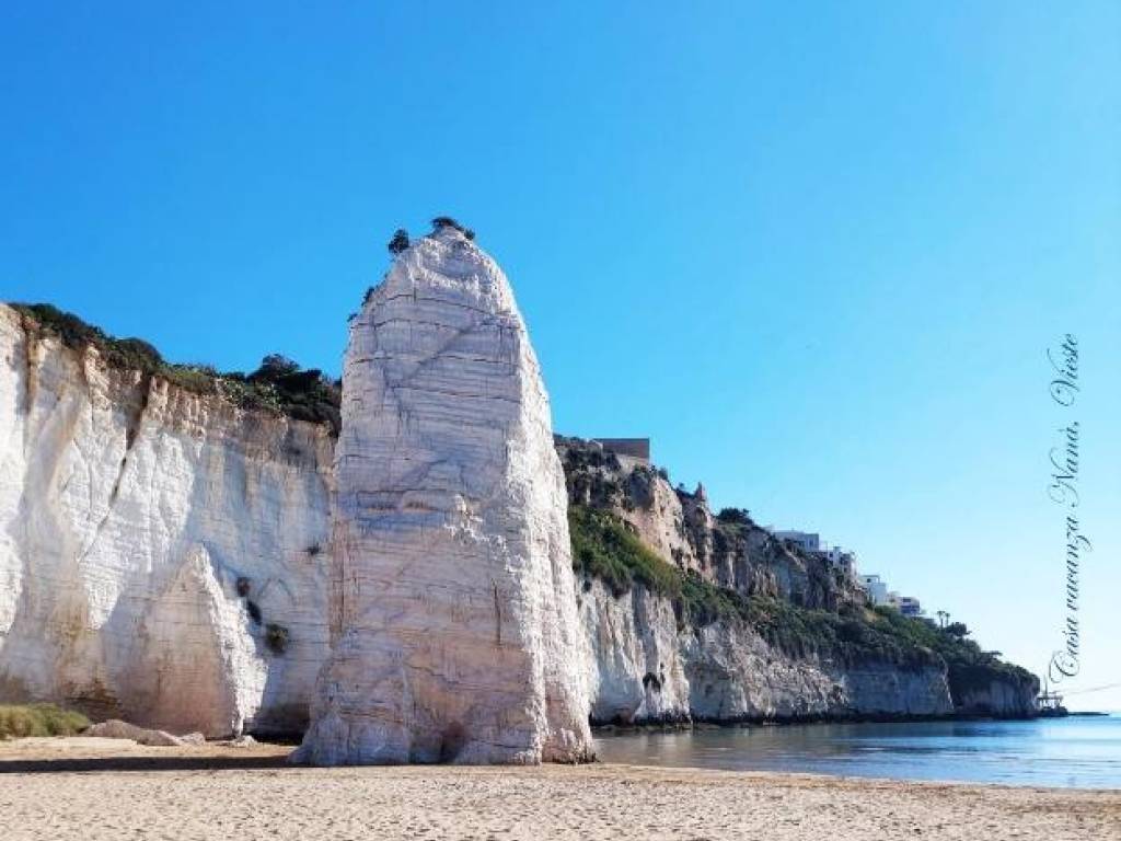 appartamento in affitto a Vieste