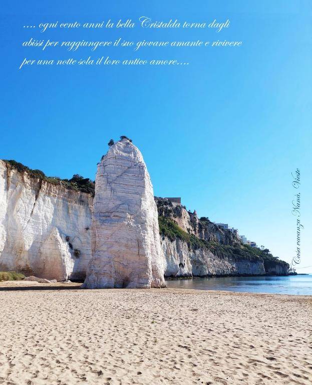 appartamento in affitto a Vieste