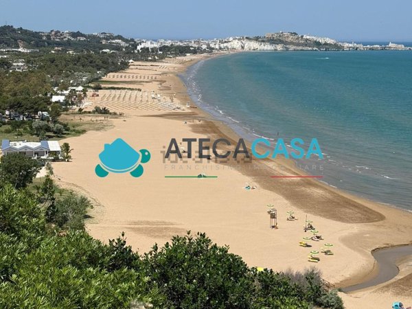 appartamento in affitto a Vieste