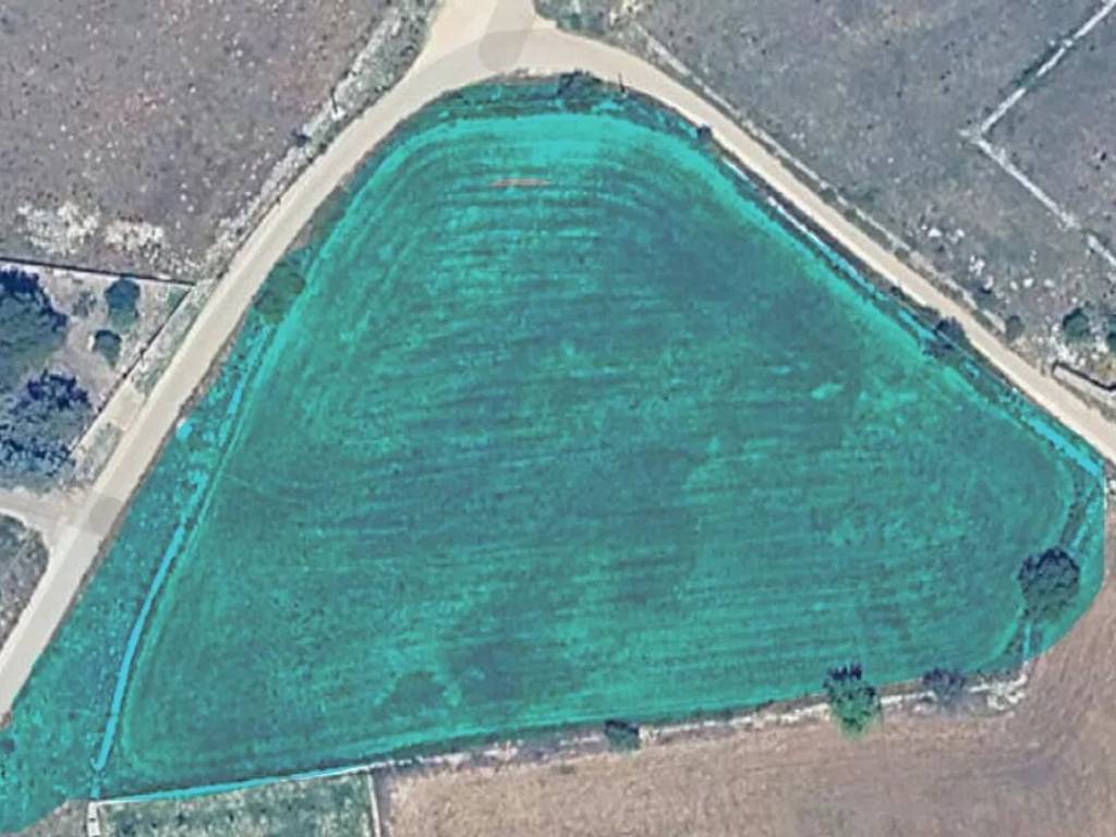 terreno in affitto ad Altamura