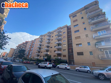 appartamento in affitto a Bari in zona Poggiofranco