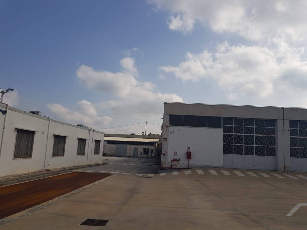 locale commerciale in affitto a Bari in zona Loseto