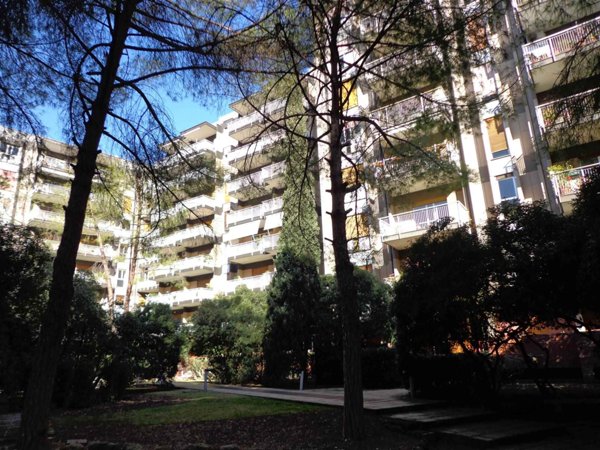 appartamento in affitto a Bari in zona Picone
