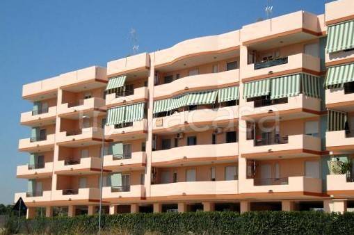 appartamento in affitto a Bari in zona Santo Spirito