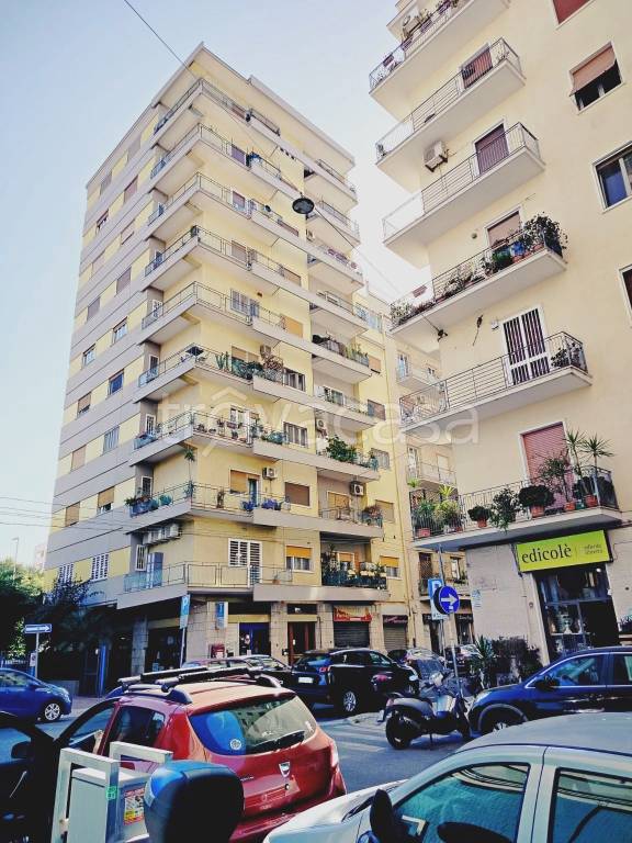 appartamento in affitto a Bari in zona Madonnella