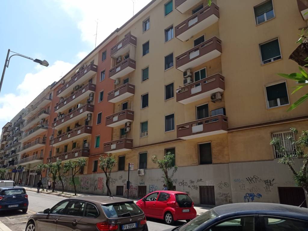 immagine annuncio 0 di 15