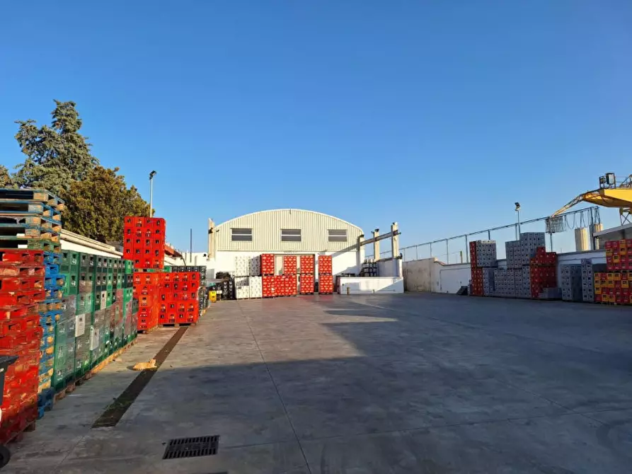 negozio in affitto a Bari in zona Città Vecchia