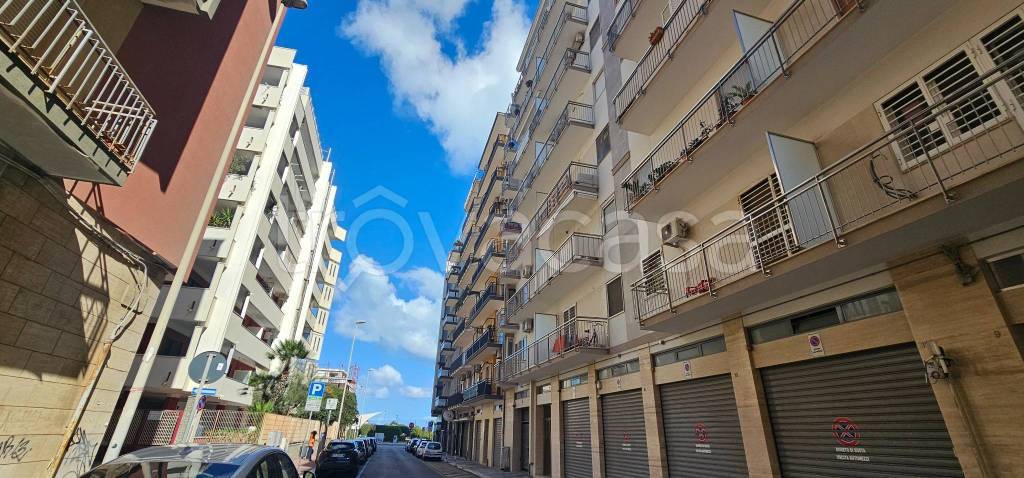 appartamento in affitto a Bari in zona Madonnella