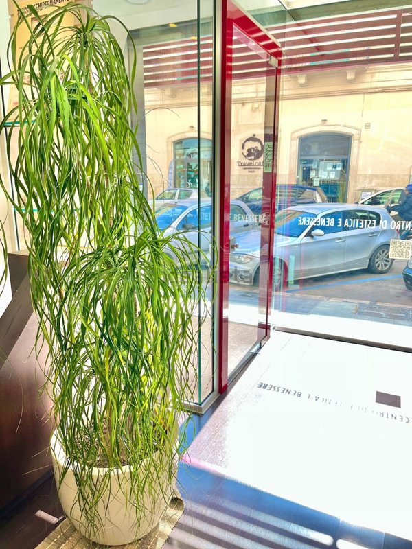 negozio in affitto a Bari in zona Murat