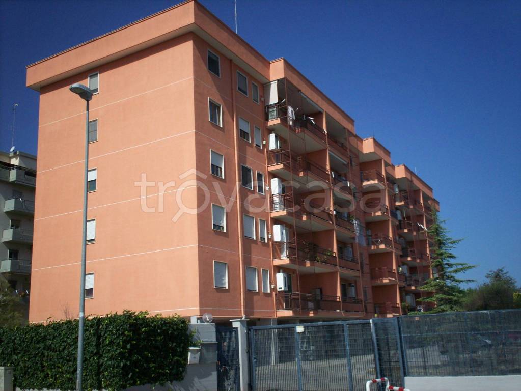 appartamento in affitto a Bari in zona Loseto