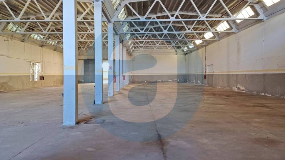 capannone in affitto a Bari in zona Stanic