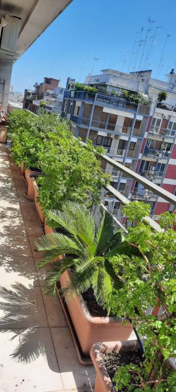 appartamento in affitto a Bari in zona Murat