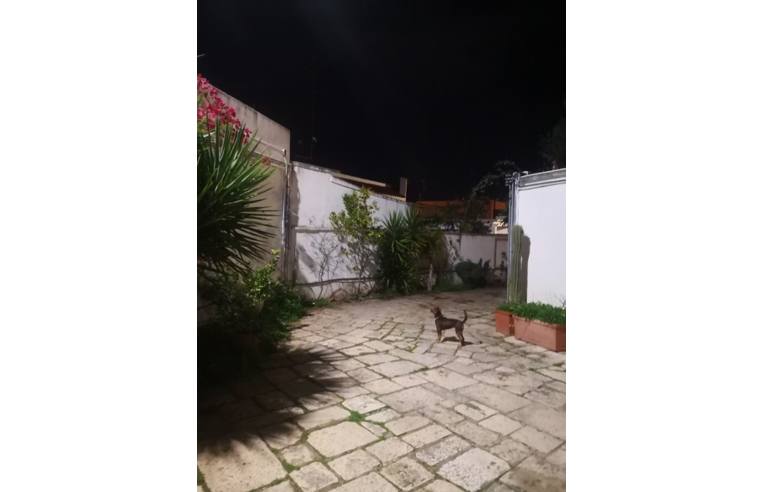 casa indipendente in affitto a Bari in zona Palese/Macchie