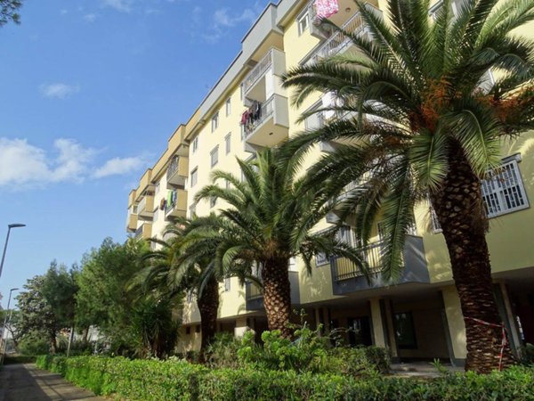 appartamento in affitto a Bari in zona Japigia