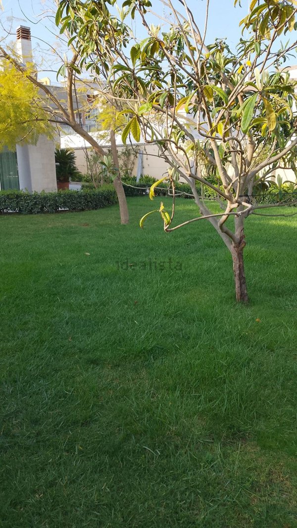 appartamento in affitto a Bari in zona Poggiofranco