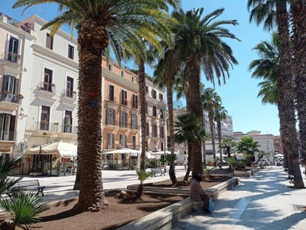 appartamento in affitto a Bari in zona Madonnella