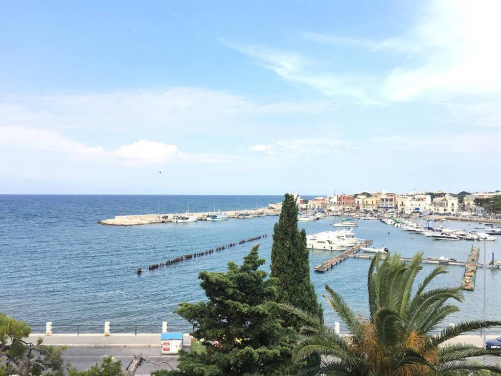 appartamento in affitto a Bari in zona Santo Spirito