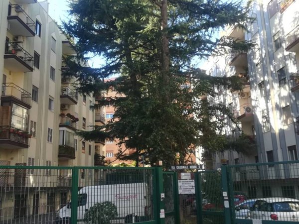 appartamento in affitto a Bari in zona Madonnella