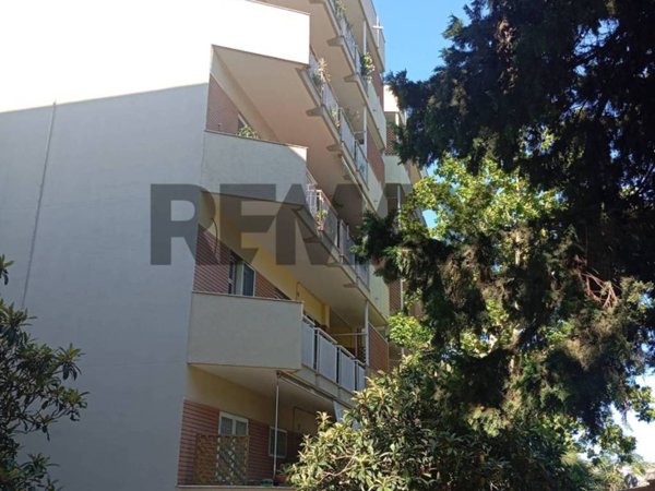 appartamento in affitto a Bari in zona Poggiofranco
