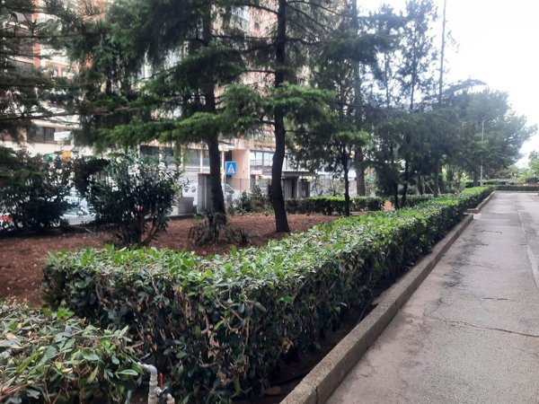 casa indipendente in affitto a Bari in zona Poggiofranco