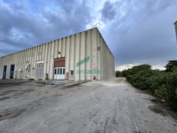 negozio in affitto a Bitonto