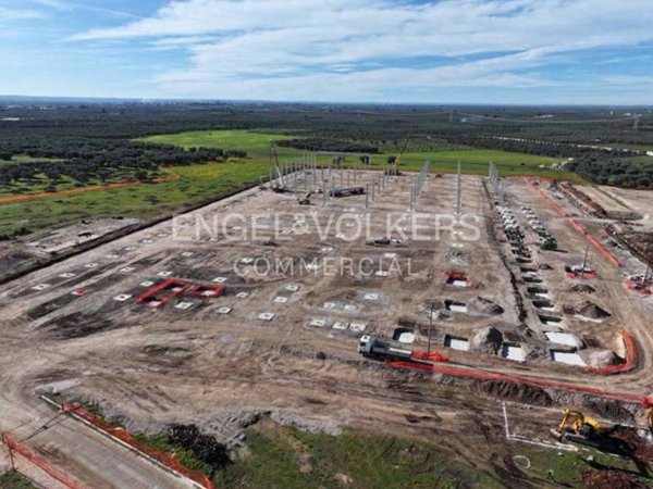 locale commerciale in affitto a Bitonto