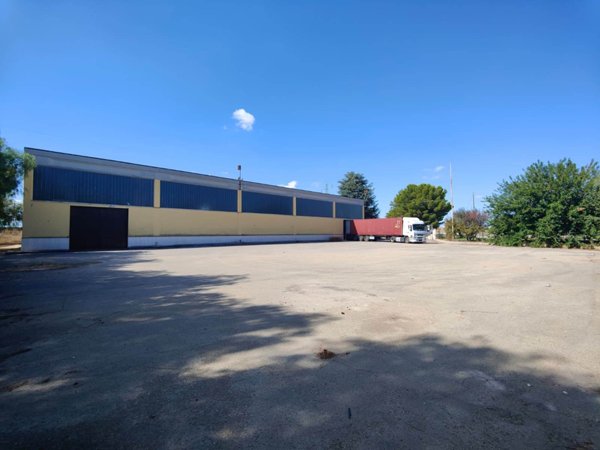 locale commerciale in affitto a Bitonto