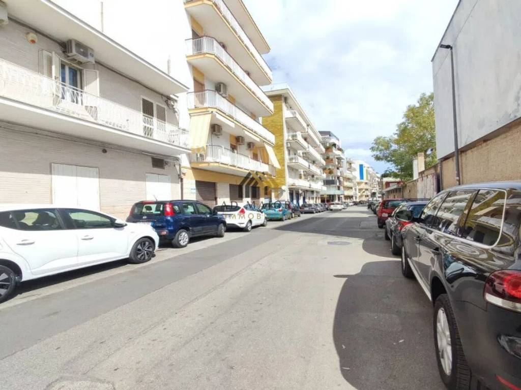 negozio in affitto a Bitonto in zona Borgo Antico