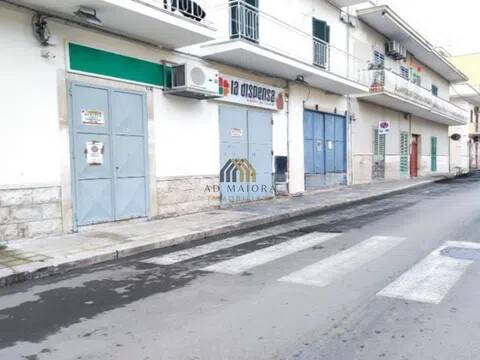 negozio in affitto a Bitonto in zona Centro Città