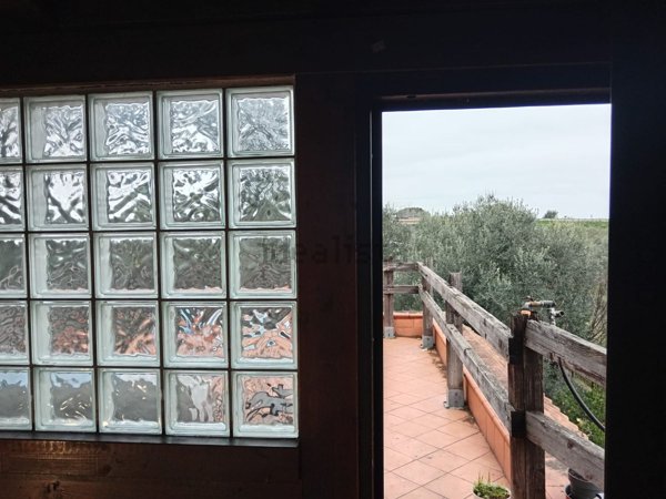 appartamento in affitto a Bitritto