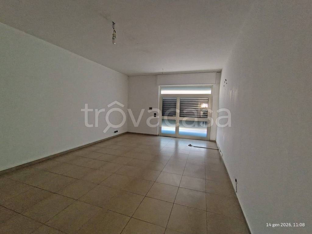 negozio in affitto a Bitritto